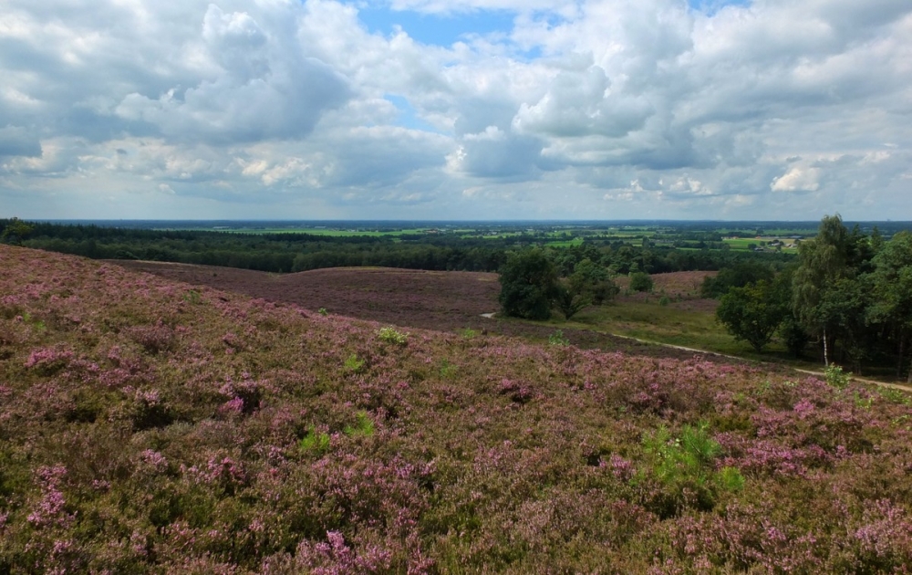 camping overijssel DSCF8511
