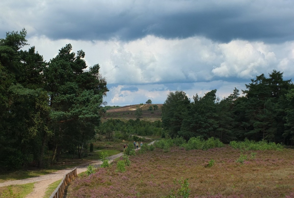 camping overijssel DSCF8567