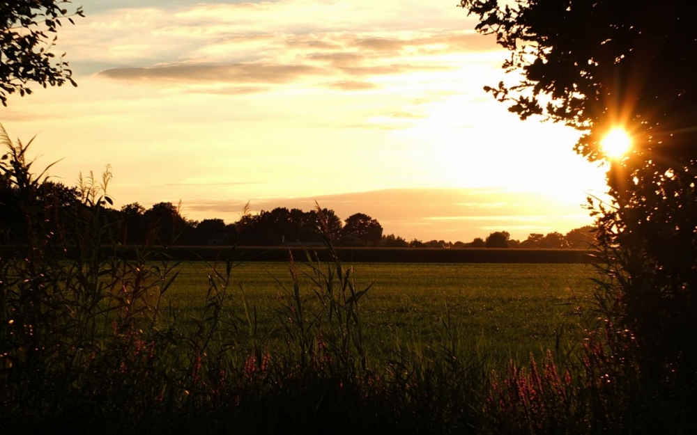 camping overijssel DSCF8584