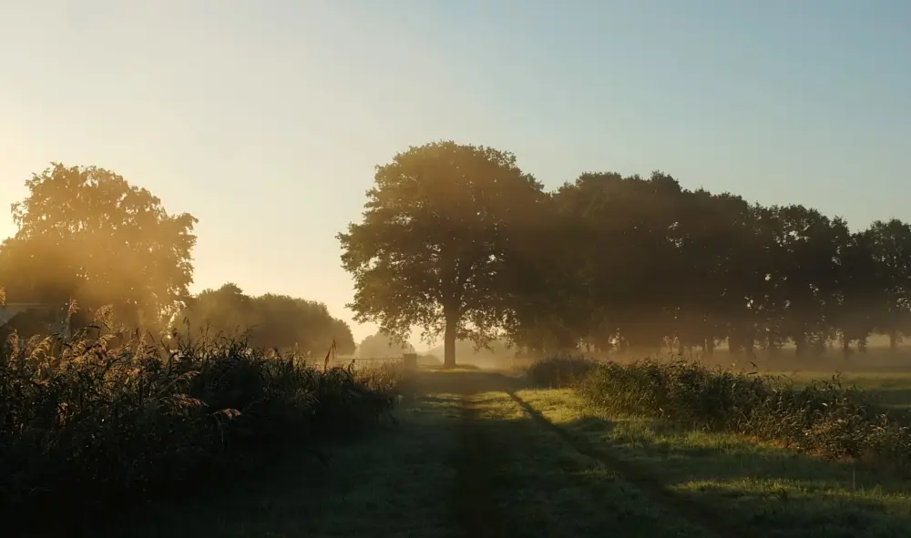 camping overijssel Omgeving 2