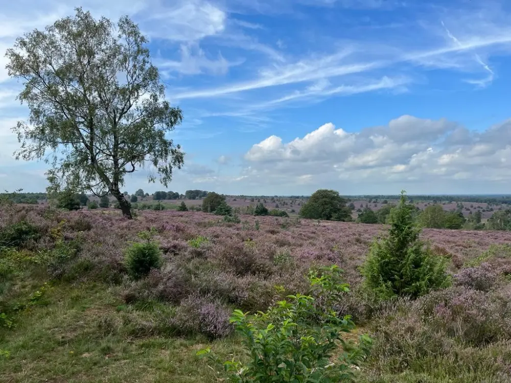 camping overijssel Omgeving 3 2